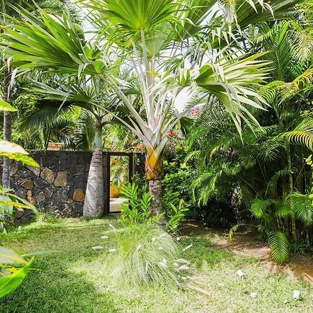 Villa Tropicale Balinaise Intimiste Grand-Baie Kültér fotó