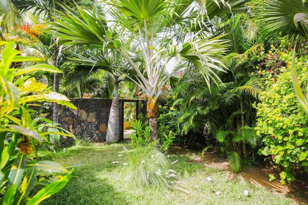 Villa Tropicale Balinaise Intimiste Grand-Baie Kültér fotó