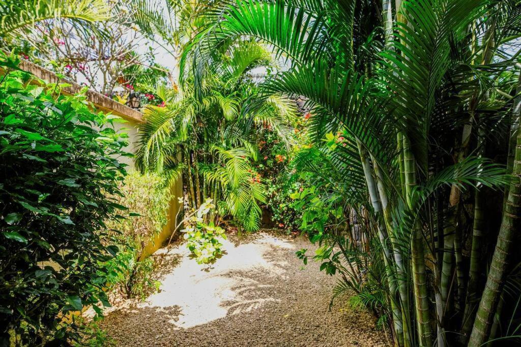 Villa Tropicale Balinaise Intimiste Grand-Baie Kültér fotó